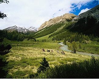 《上古卷轴5：天际》桌游11月初开启众筹 再现原作玩法