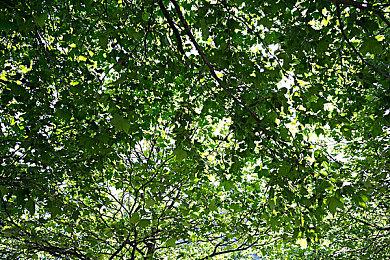 美女甩头发？《GTA6》首支预告片重播最多的镜头是它