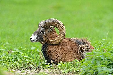 Take Two对《荒野大镖客2》改编成电影或电视剧没兴趣